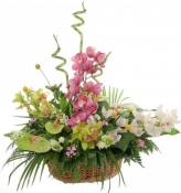 Доставка карзин в Армению